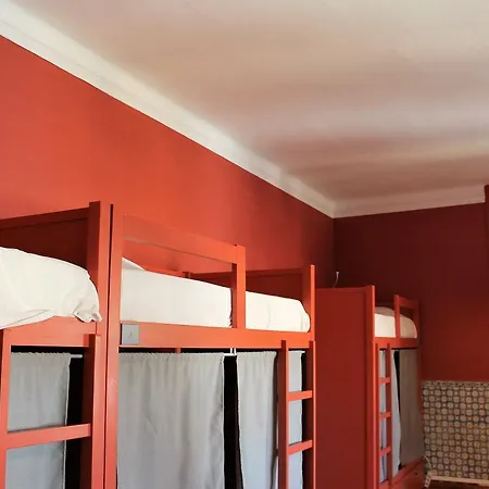 Hostel Back To *